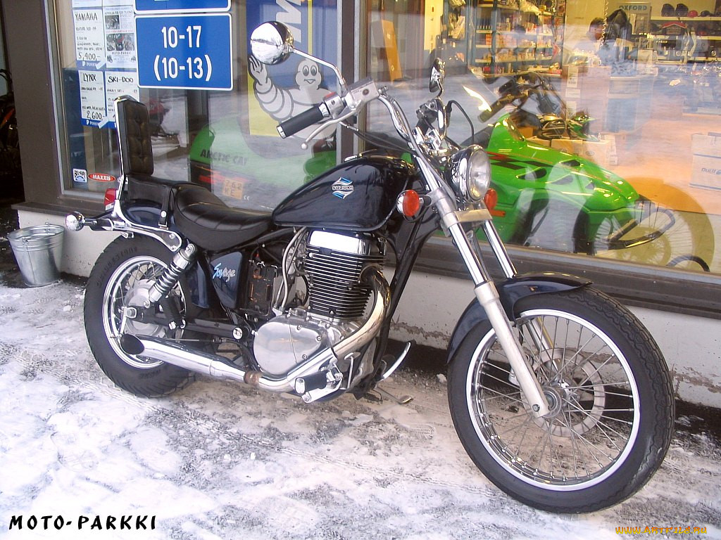 suzuki, ls, 650, savage, 